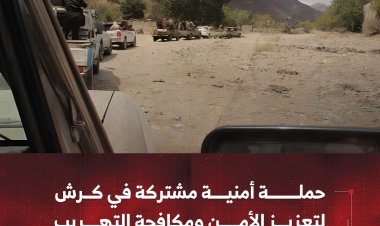 حملة أمنية مشتركة في كرش لتعزيز الأمن ومكافحة التهريب