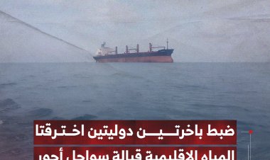 ضبط باخرتين دوليتين اخترقتا المياه الإقليمية قبالة سواحل أحور