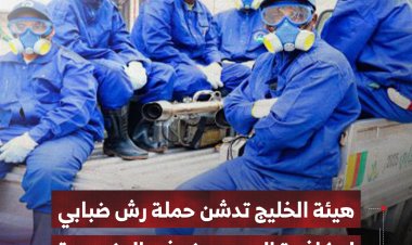 هيئة الخليج وعدن تدشن حملة رش ضبابي لمكافحة البعوض في المنصورة