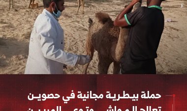 حملة بيطرية مجانية في حصوين تعالج المواشي وتوعي المربين