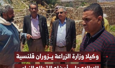 وكيلا وزارة الزراعة والري يزوران مديرية قلنسية بسقطرى للاطلاع على أوضاع القطاع الزراعي