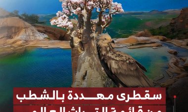 سقطرى مهددة بالشطب من قائمة التراث العالمي