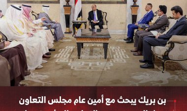 بن بريك يبحث مع أمين عام مجلس التعاون سبل الدعم والتعاون المشترك