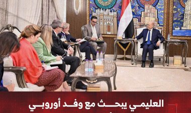 العليمي يبحث مع وفد أوروبي تطورات الأوضاع في اليمن