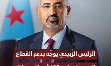الرئيس الزُبيدي يوجّه بدعم القطاع الصحي لمواجهة تفشي الحميات