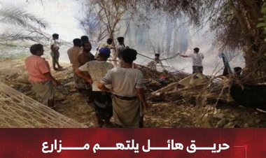 حريق هائل يلتهم مزارع بمديرية الديس الشرقية