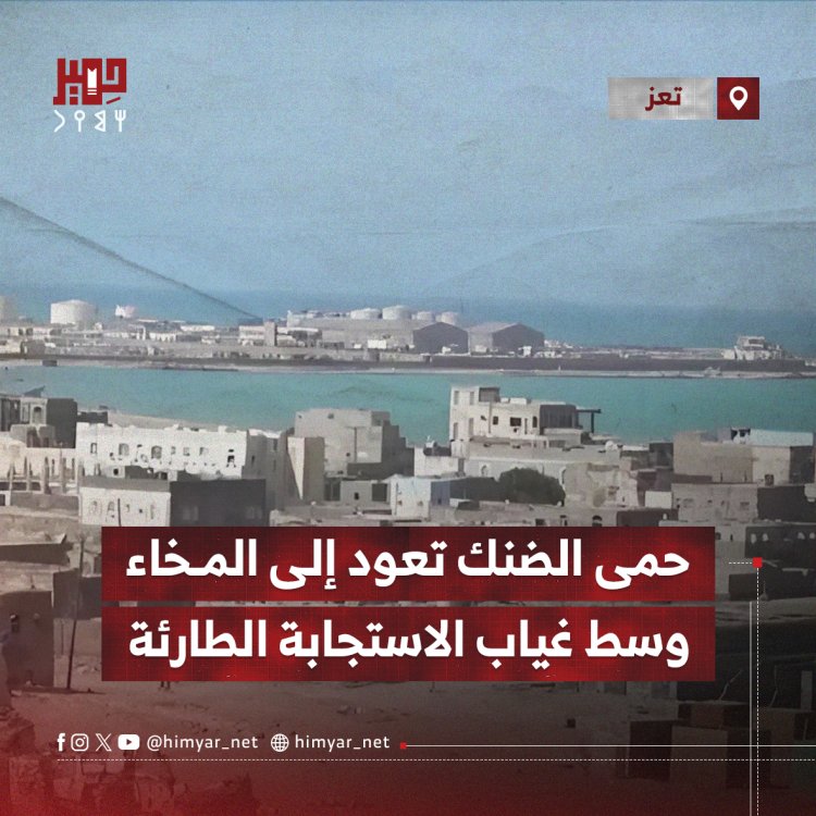حمى الضنك تعود إلى المخاء وسط غياب الاستجابة الطارئة