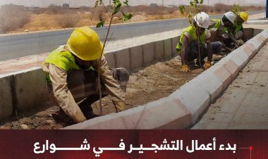 بدء أعمال التشجير في شوارع مدينة عتق لتعزيز الجمال الحضري