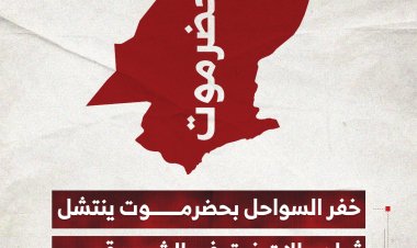 خفر السواحل بحضرموت ينتشل ثمان حالات غرق في الشحر وقصيعر
