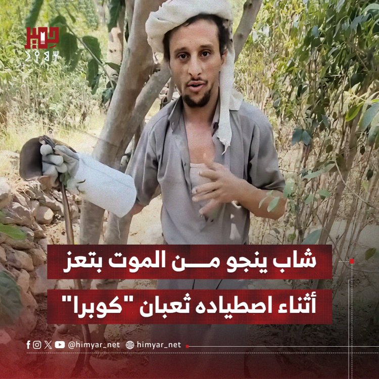 شاب ينجو من الموت بتعز أثناء اصطياده ثعبان "كوبرا"