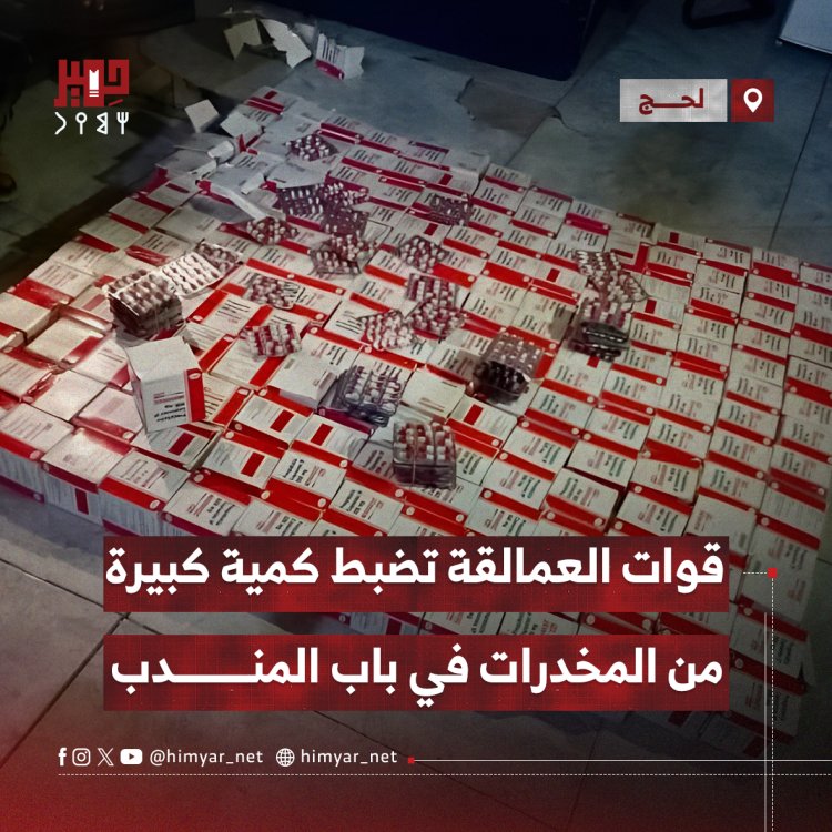 قوات العمالقة الجنوبية تضبط كمية كبيرة من المخدرات في باب المندب