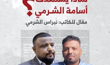 لماذا يُستهدف أسامة الشرمي؟