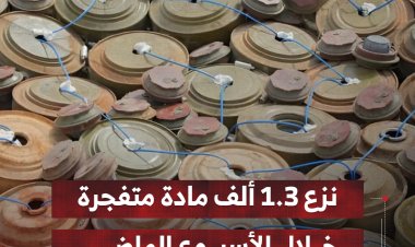 نزع 1.3 ألف مادة متفجرة باليمن خلال الأسبوع الماضي