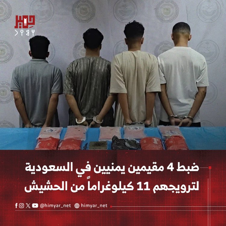 ضبط 4 مقيمين يمنيين في السعودية لترويجهم 11 كيلوغراماً من الحشيش