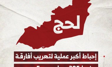 إحباط أكبر عملية لتهريب أفارقة وضبط 205 مهاجرين و5 مهربين في لحج