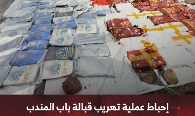 إحباط عملية تهريب قبالة باب المندب وضبط قرابة ربع طن من المخدرات