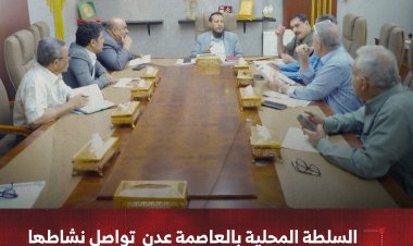 السلطة المحلية بالعاصمة عدن تواصل نشاطها لتعزيز العمل الإداري والنهوض بالمدينة