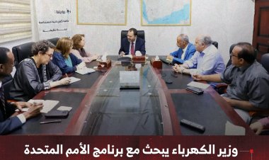 وزير الكهرباء يبحث مع برنامج الأمم المتحدة الإنمائي تعزيز التعاون في مشاريع الطاقة المتجددة