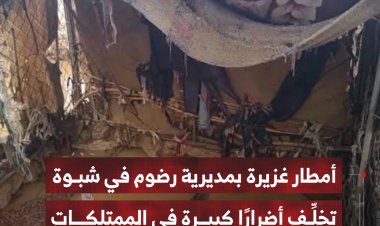 أمطار غزيرة في مديرية رضوم بمحافظة شبوة تُخلِّف أضرارًا كبيرة وخسائر في الممتلكات