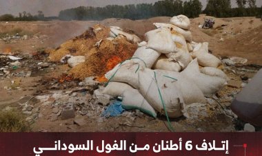 إتلاف 6 أطنان من الفول السوداني غير الصالح للاستهلاك في المنصورة