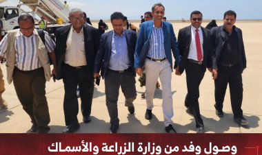 وصول وفد من وزارة الزراعة والأسماك ومنظمة "الفاو" إلى جزيرة سقطرى