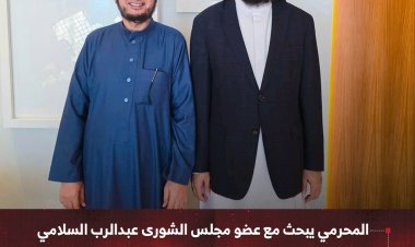 المحرمي يبحث مع عضو مجلس الشورى عبدالرب السلامي مسار الحوار الجنوبي وتعزيز الحكم المحلي