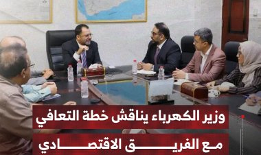 وزير الكهرباء يناقش خطة التعافي مع الفريق الاقتصادي
