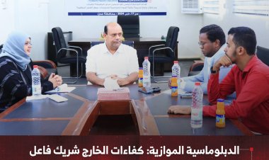 الدبلوماسية الموازية: كفاءات الخارج شريك فاعل في دعم صندوق تنمية المهارات