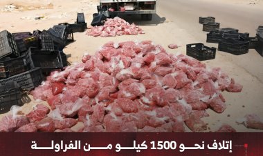 إتلاف نحو 1500 كيلو من الفراولة غير الصالحة للاستهلاك الآدمي في مديرية المنصورة