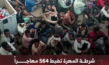 شرطة المهرة تضبط 564 مهاجراً إثيوبياً دخلوا اليمن بطرق غير قانونية