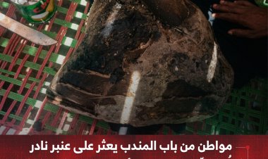 مواطن من باب المندب يعثر على عنبر نادر   تُقدّر قيمته بـ700 ألف ريال سعودي