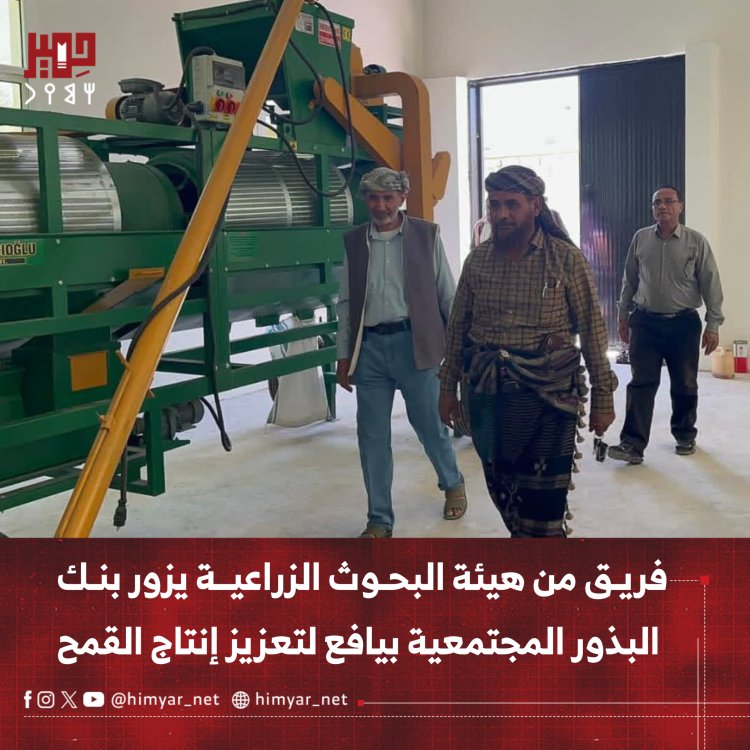 فريق من هيئة البحوث الزراعية يزور بنك البذور المجتمعية بيافع لتعزيز إنتاج القمح