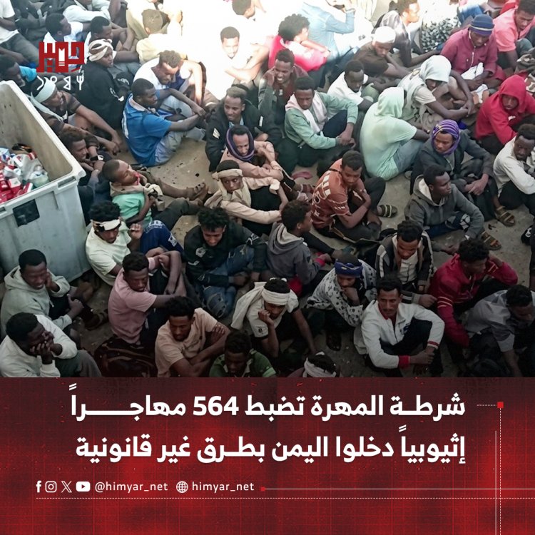 شرطة المهرة تضبط 564 مهاجراً إثيوبياً دخلوا اليمن بطرق غير قانونية