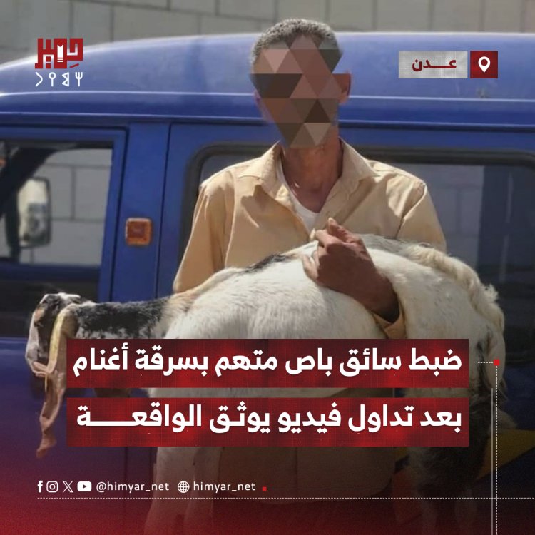 ضبط سائق باص متهم بسرقة أغنام في عدن بعد تداول فيديو يوثق الواقعة