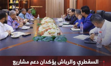 السقطري والرباش يؤكدان دعم مشاريع الزراعة والثروة السمكية بمحافظة أبين