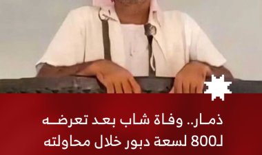 ذمار.. وفاة شاب بعد تعرضه لـ800 لسعة دبور خلال محاولته إنقاذ حيوان من بئر مهجورة