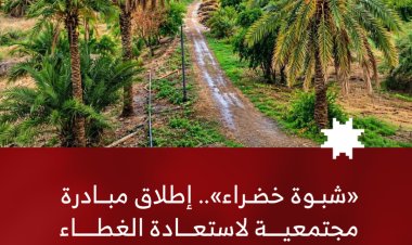 «شبوة خضراء».. إطلاق مبادرة مجتمعية لاستعادة الغطاء النباتي